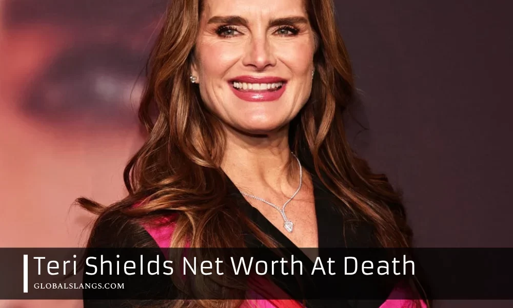 teri shields net worth at death